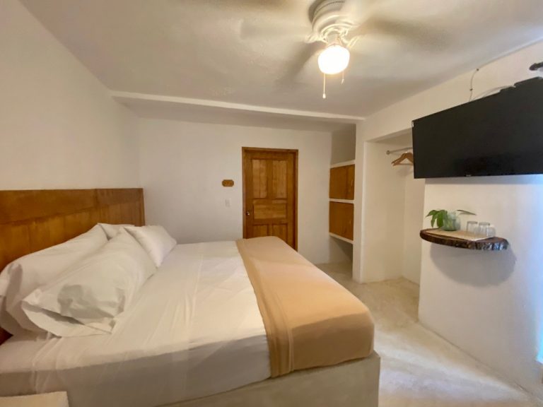 KING SUITE DELUXE (4)